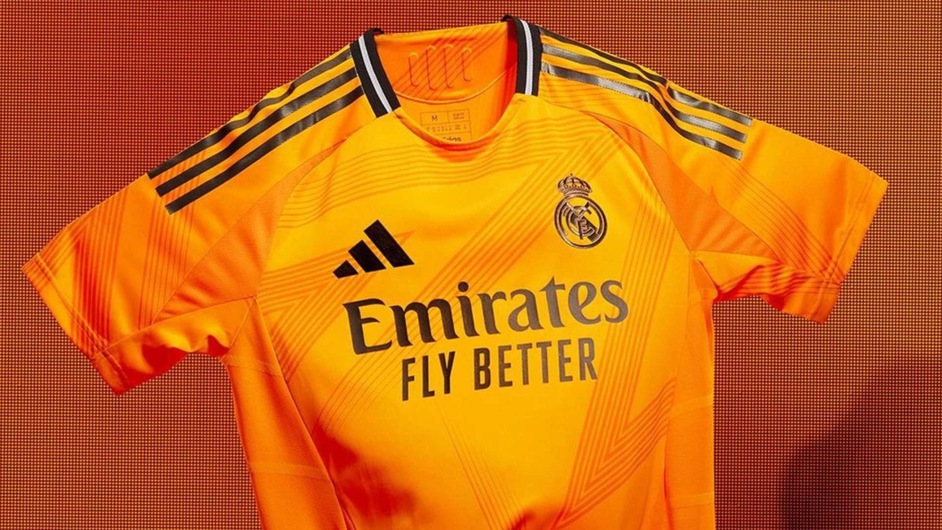 立陶宛的籃 立陶宛的籃